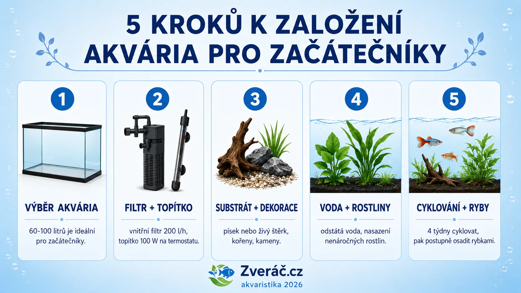 Infografika — 5 kroků k založení akvária pro začátečníky