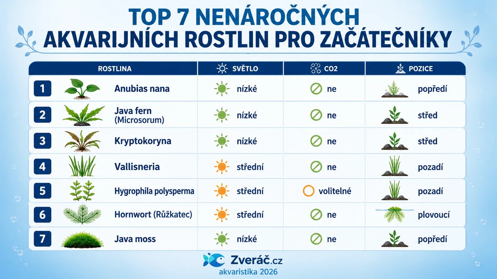 Infografika — TOP 7 nenáročných akvarijních rostlin pro začátečníky