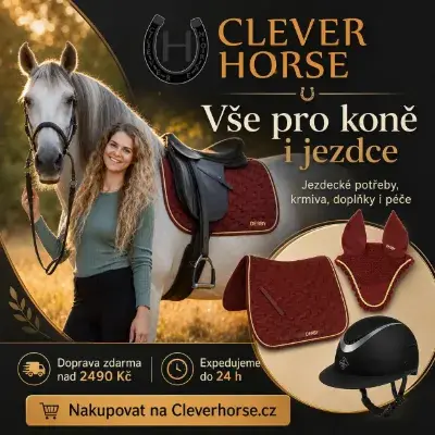 Clever-horse