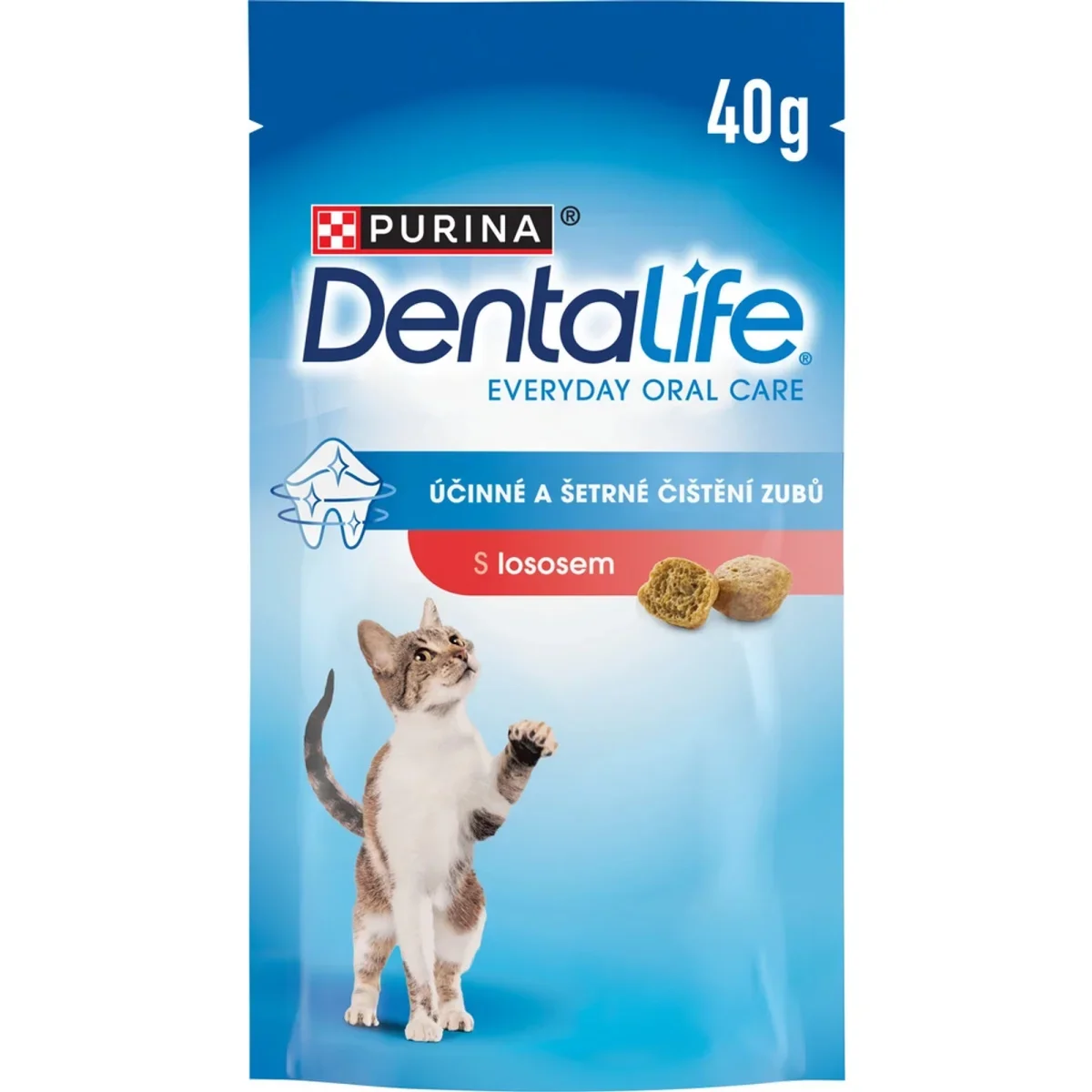 Purina DENTALIFE Cat losos 40g