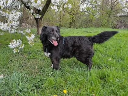 Ben