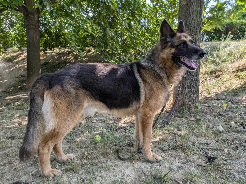 Simír