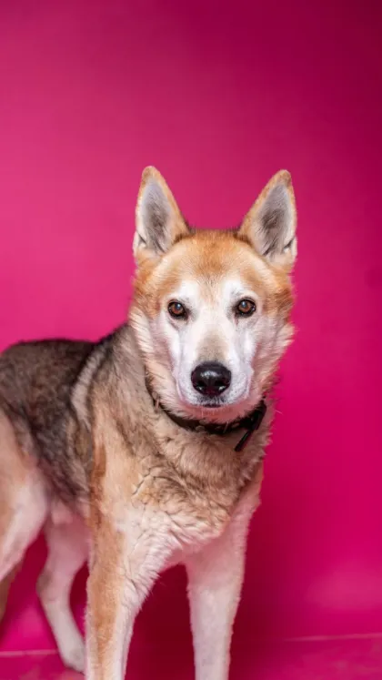 Max