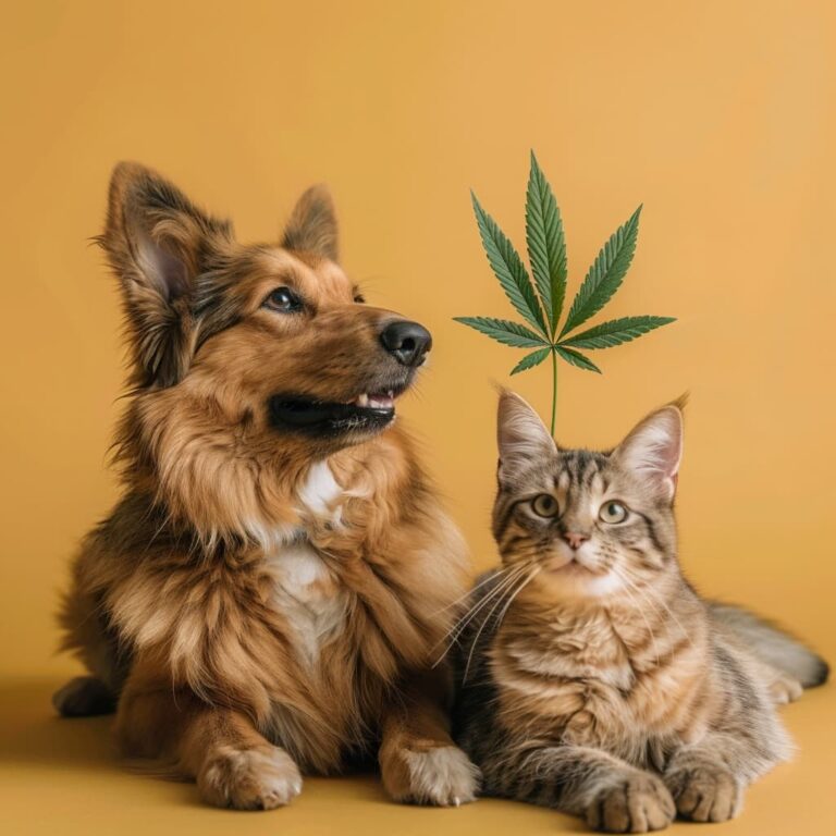 CBD pro domácí mazlíčky