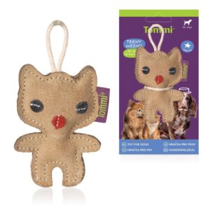 Teeny Weeny Kitty 016672