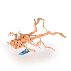 Spider Wood L - dekorace do akvária a terária, 50-70cm