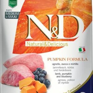 N&D PUMPKIN Dog GF Lamb & Blueberry Puppy Medium & Maxi 2,5 kg