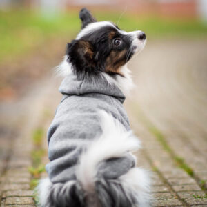 Vsepropejska Zupo mikina pro psa Barva: Šedá, Délka zad (cm): 31, Obvod hrudníku: 47 – 53 cm