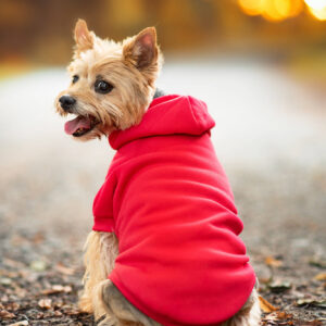 Vsepropejska Zigi červená mikina pro psa Barva: Červená, Délka zad (cm): 53, Obvod hrudníku: 68 – 74 cm