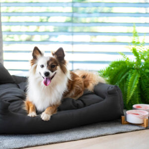 Vsepropejska Lux nadýchaný pelech pro psa Barva: Tmavě-šedá, Rozměr (cm): 65 x 55