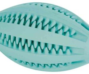 Trixie DENTAfun rugby míč s mátou 11cm