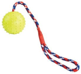 HipHop Dog Vrhací míč z přírodní tvrdé gumy ø6/30cm, na laně