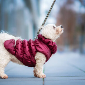 Vsepropejska Magie zimní bunda pro psa Barva: Vínová, Délka zad (cm): 31, Obvod hrudníku: 40 – 48 cm