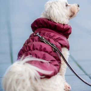 Vsepropejska Magie zimní bunda pro psa Barva: Vínová, Délka zad (cm): 22, Obvod hrudníku: 32 – 36 cm