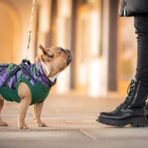 Vsepropejska Pardál zimní bunda pro psa s postrojem Barva: Zelená, Délka zad (cm): 33, Obvod hrudníku: 38 – 46 cm