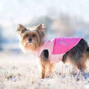 Vsepropejska Aston obleček pro psa na zip Barva: Růžová, Délka zad (cm): 25, Obvod hrudníku: 32 – 40 cm