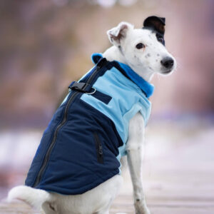 Vsepropejska Aston obleček pro psa na zip Barva: Modrá, Délka zad (cm): 25, Obvod hrudníku: 32 – 40 cm