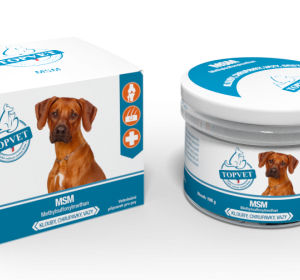 Topvet MSM pro psy 100g