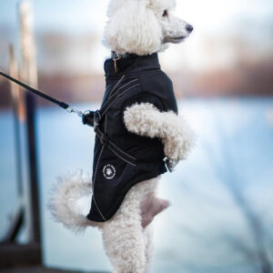 Vsepropejska Stuart obleček pro psa na zip Barva: Černá, Délka zad (cm): 32, Obvod hrudníku: 41 – 49 cm