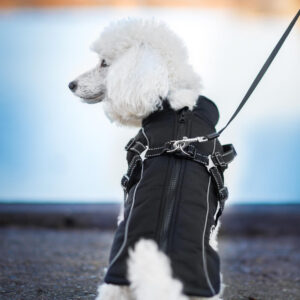 Vsepropejska Stuart obleček pro psa na zip Barva: Černá, Délka zad (cm): 38, Obvod hrudníku: 46 – 52 cm