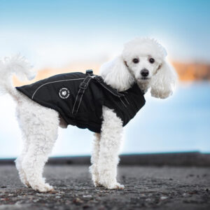 Vsepropejska Stuart obleček pro psa na zip Barva: Černá, Délka zad (cm): 29, Obvod hrudníku: 36 – 41 cm