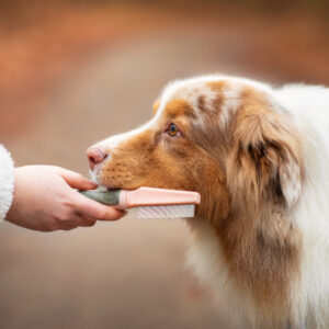 Vsepropejska Lois hřeben pro psa na blechy | 20 cm Barva: Růžová