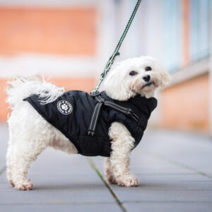 Vsepropejska Filip obleček pro psa na zip Barva: Černá, Délka zad (cm): 41, Obvod hrudníku: 47 – 54 cm