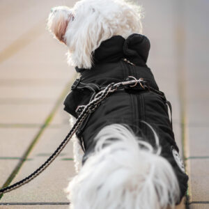 Vsepropejska Filip obleček pro psa na zip Barva: Černá, Délka zad (cm): 36, Obvod hrudníku: 46 – 51 cm