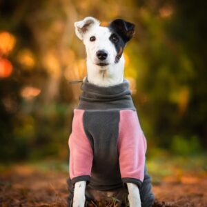 Vsepropejska Daniel fleecová kombinéza pro psa Barva: Růžová, Délka zad (cm): 40, Obvod hrudníku: 52 – 71 cm