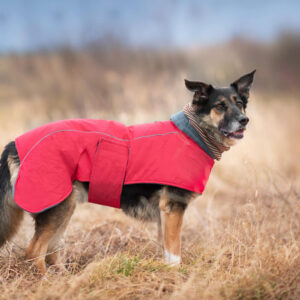 Vsepropejska Servác zateplená bunda pro psa Barva: Červená, Délka zad (cm): 53, Obvod hrudníku: 76 – 84 cm