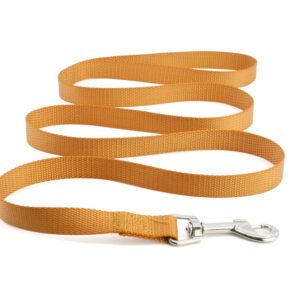 Vsepropejska Zuky nylonové vodítko pro psa | 124 cm Barva: Hnědá, Šířka vodítka: 1,5 cm