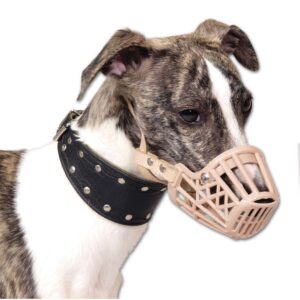 Náhubky pro psy - náhubek Safeguard, plast + kůže, vel. 2