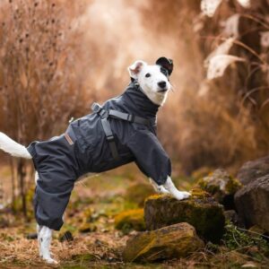 Vsepropejska Nelly pláštěnka do deště – nepromokavá kombinéza Barva: Šedá, Délka zad (cm): 22, Obvod hrudníku: 24 – 36 cm