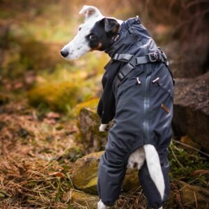 Vsepropejska Nelly pláštěnka do deště – nepromokavá kombinéza Barva: Šedá, Délka zad (cm): 37, Obvod hrudníku: 31 – 50 cm