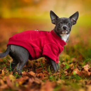 Vsepropejska Hello fleecová mikina pro psa Barva: Červená, Délka zad (cm): 19, Obvod hrudníku: 26 – 30 cm