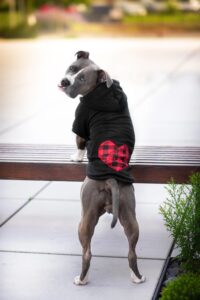 Vsepropejska Soul mikina pro psa se srdcem Barva: Černá, Délka zad (cm): 40, Obvod hrudníku: 50 - 58 cm