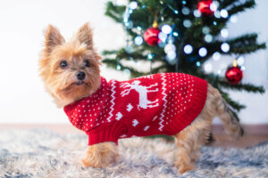 Vsepropejska Stag Vánoční svetr pro psa Barva: Červená, Délka zad (cm): 38-40, Obvod hrudníku: 45 - 58 cm