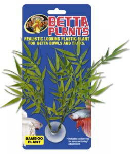 Zoomed Betta Plant – Bambus