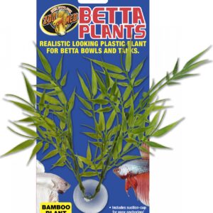 Zoomed Betta Plant – Bambus