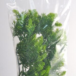 Zoomed Malaysian Fern – Přírodní keřová rostlina M