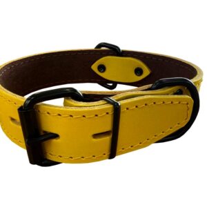 Bafpet Obojek HERRY černé kování 65cm/35mm žlutá