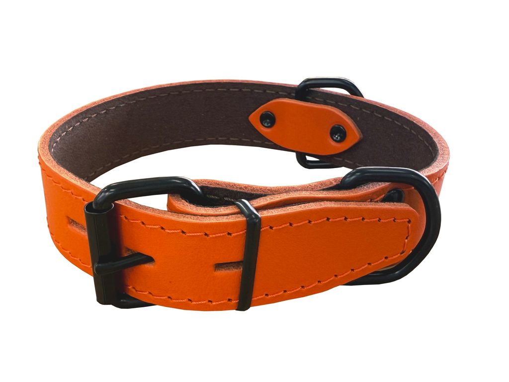 Bafpet Obojek HERRY černé kování 50cm/35mm oranžová Bafpet Obojek HERRY černé kování 50cm/35mm oranžová