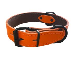 Bafpet Obojek HERRY černé kování 60cm/35mm oranžová