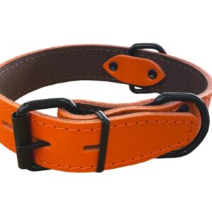 Bafpet Obojek HERRY černé kování 60cm/35mm oranžová