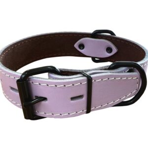 Bafpet Obojek HERRY černé kování 65cm/35mm fialová