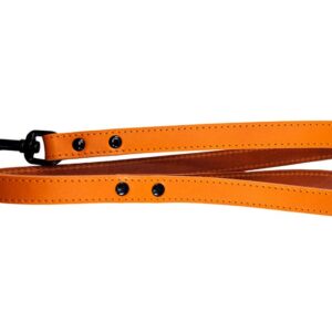 Bafpet Kožené vodítko HERRY, černé kování 100cm/20mm oranžová