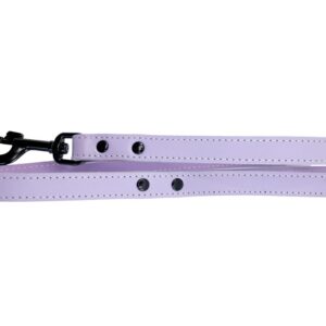 Bafpet Kožené vodítko HERRY, černé kování 100cm/20mm fialová