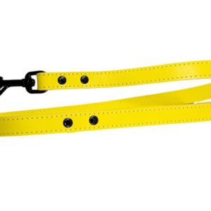 Bafpet Kožené vodítko HERRY, černé kování 100cm/20mm žlutá