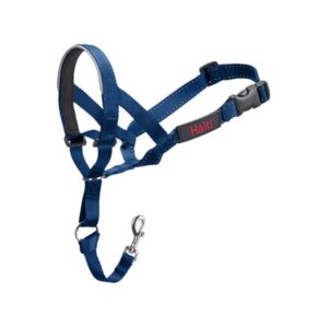 Ohlávka nylon Halti modrá vel. 2 - kokr, pudl