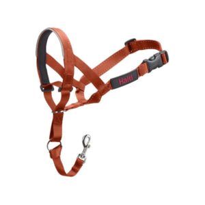 Ohlávka nylon Halti oranžová vel. 4 - rotvajler, doga